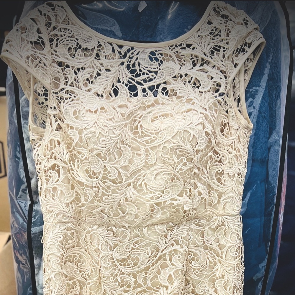 Elegant formal cap sleeve lace column gown by Adrianna Papell.